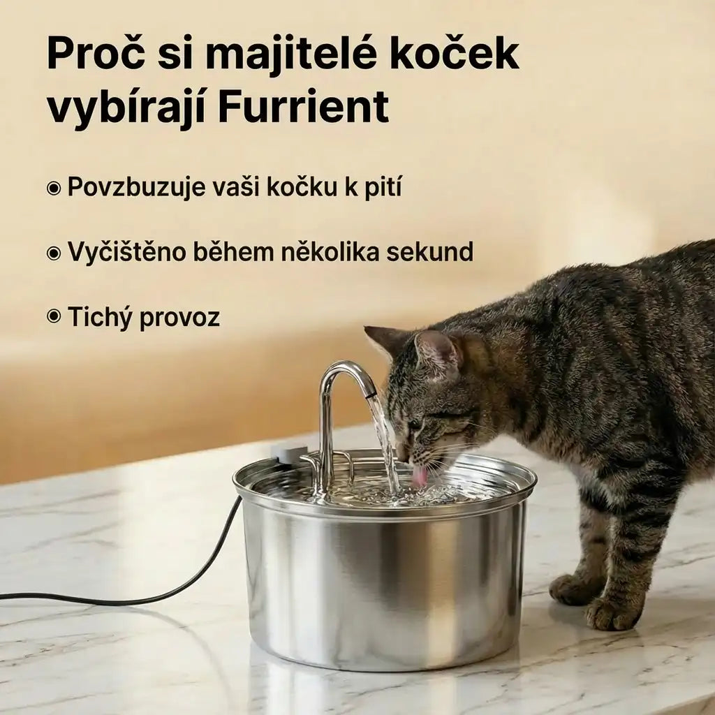 Furrient Kočičí fontána