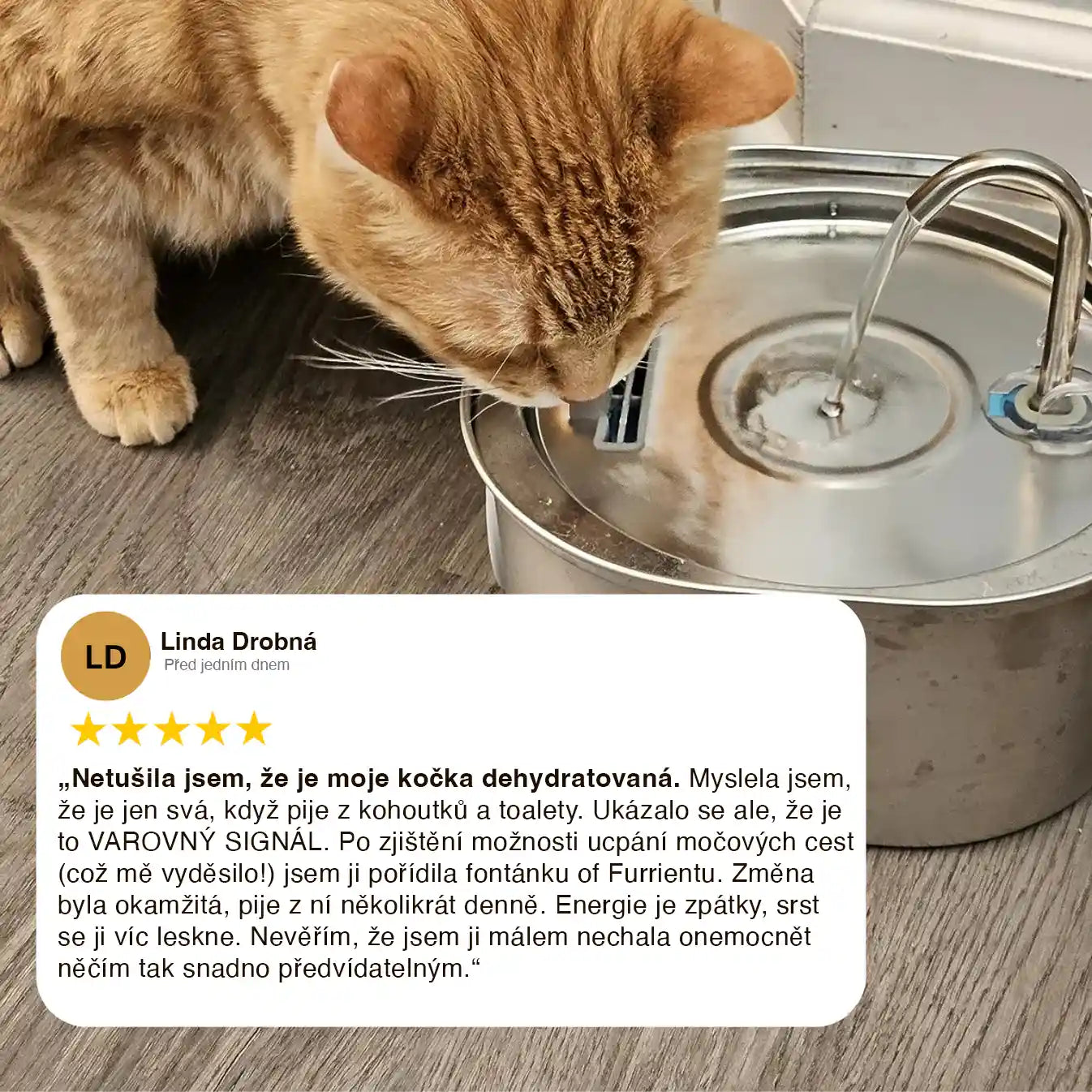 Furrient Nerezová Fontánka Pro Kočky