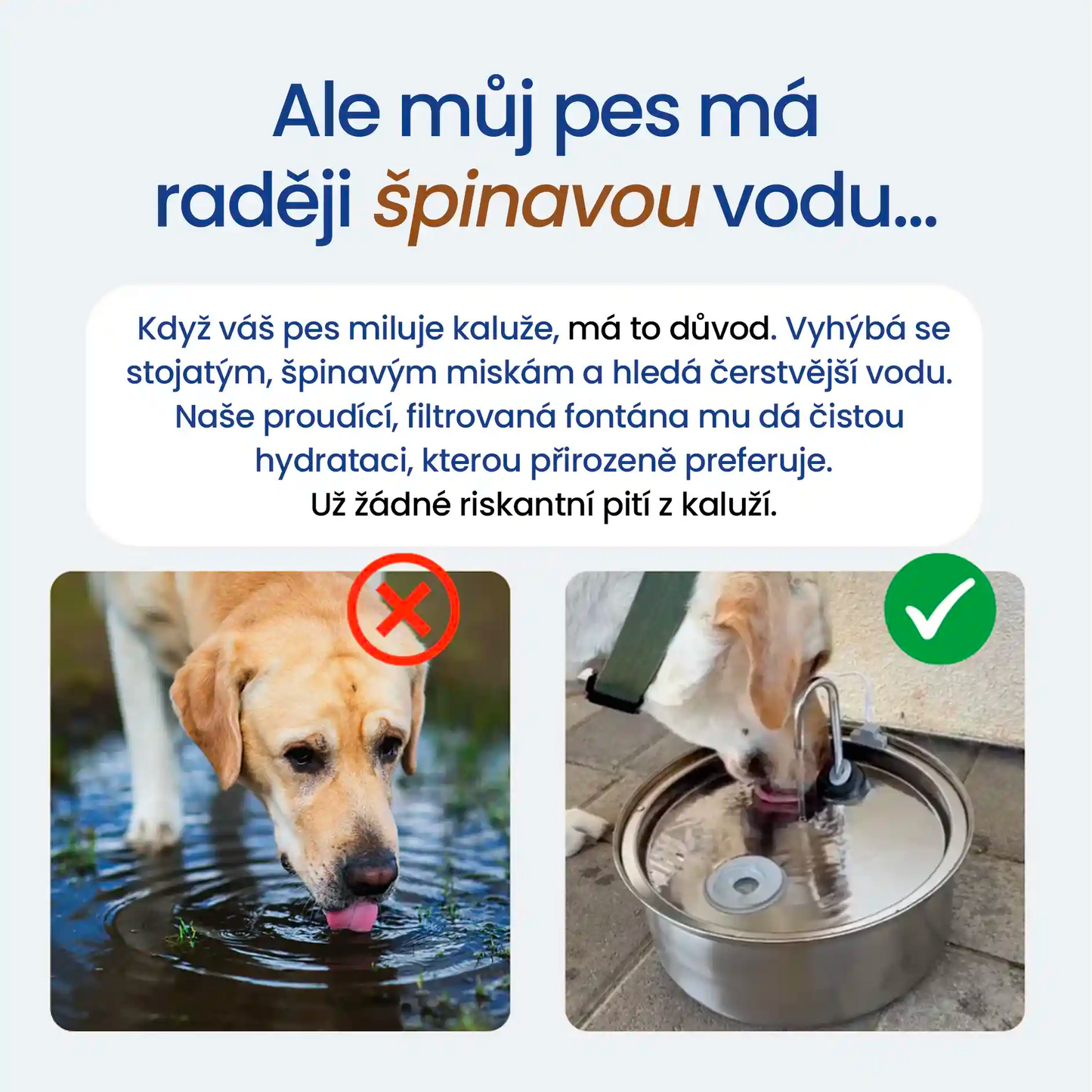 Furrient Fontánka Pro Psy